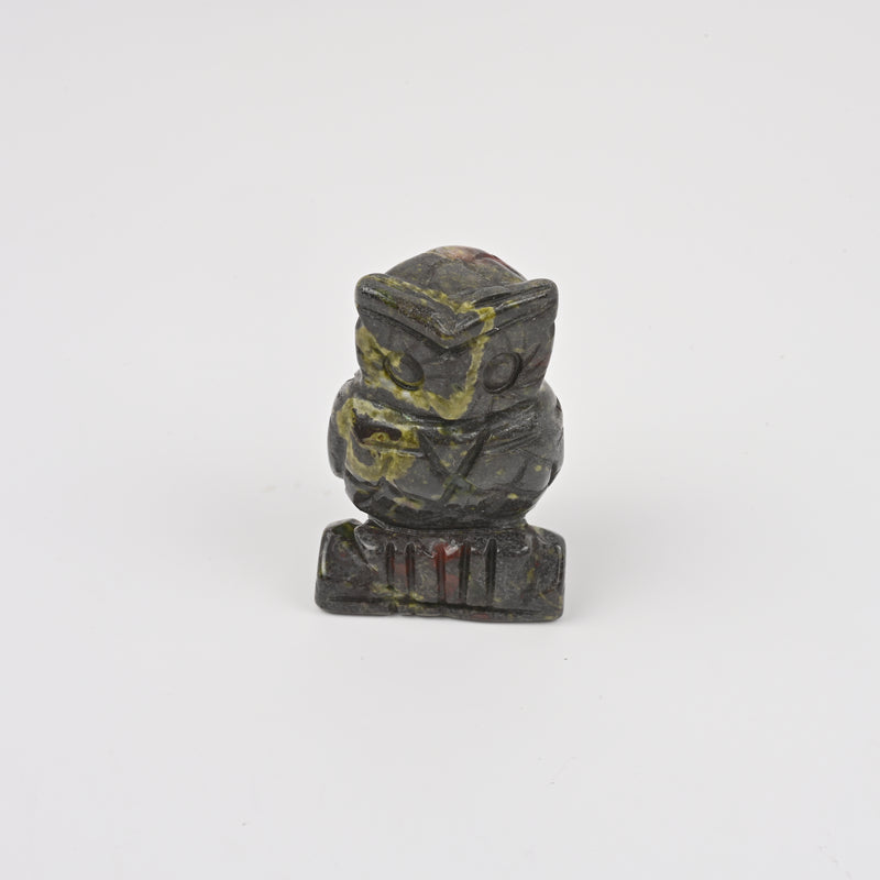 Handcraft Carved Natural Dragon Bloodstone Owl Crystal Figurine, 2 inch Owl Gemstone