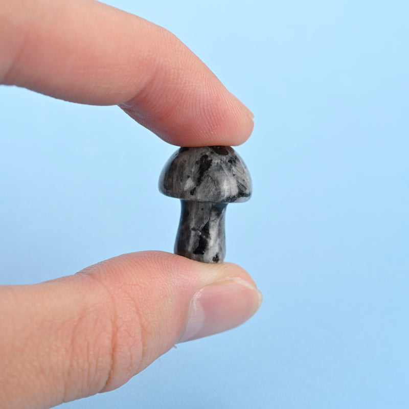Carved Mushroom Crystal Figurine, 20mm Natural Larvikite Labradorite Mushroom Gemstone, Crystal Decor, Larvikite Labradorite.