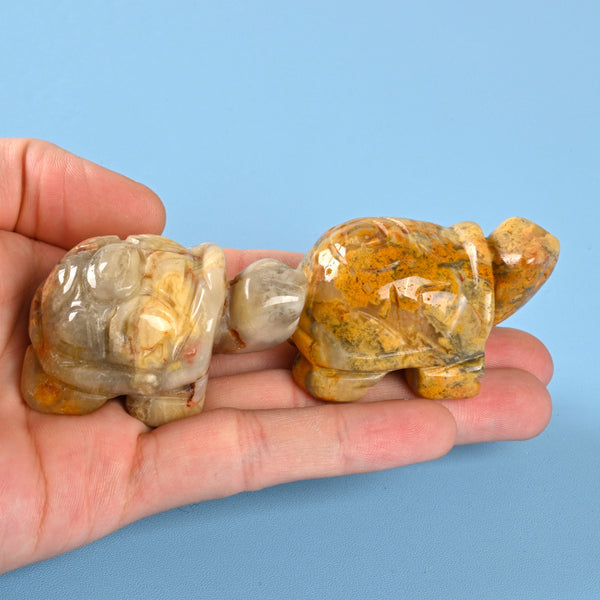 Carved Turtle Crystal Figurine, 2 inch Natural Crazy Agate Turtle Gemstone, Crystal Decor, Crazy Lace Agate Tortoise.