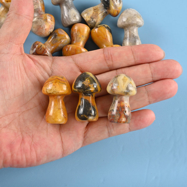 Carved Mushroom Crystal Figurine, 36mm Crazy Agate Mushroom Gemstone