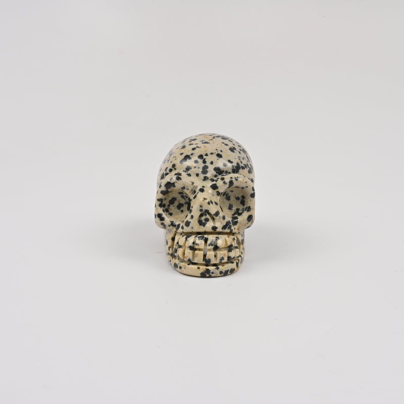 Carved Skull Crystal Figurine, 2 inch Natural Dalmatian Jasper Skull Gemstone