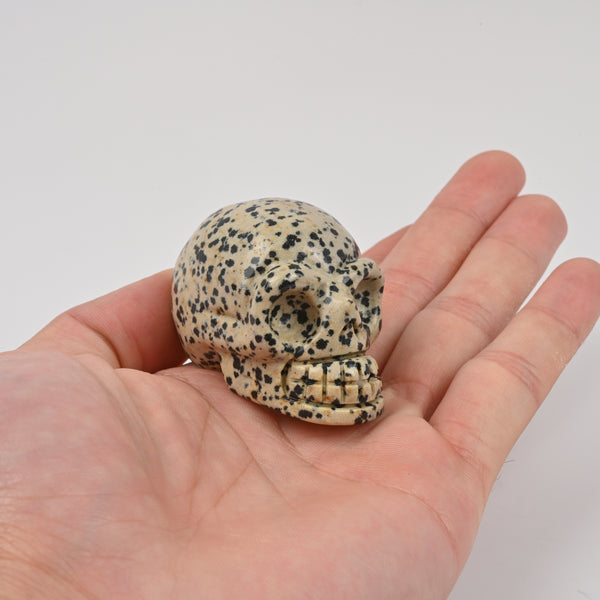 Carved Skull Crystal Figurine, 2 inch Natural Dalmatian Jasper Skull Gemstone